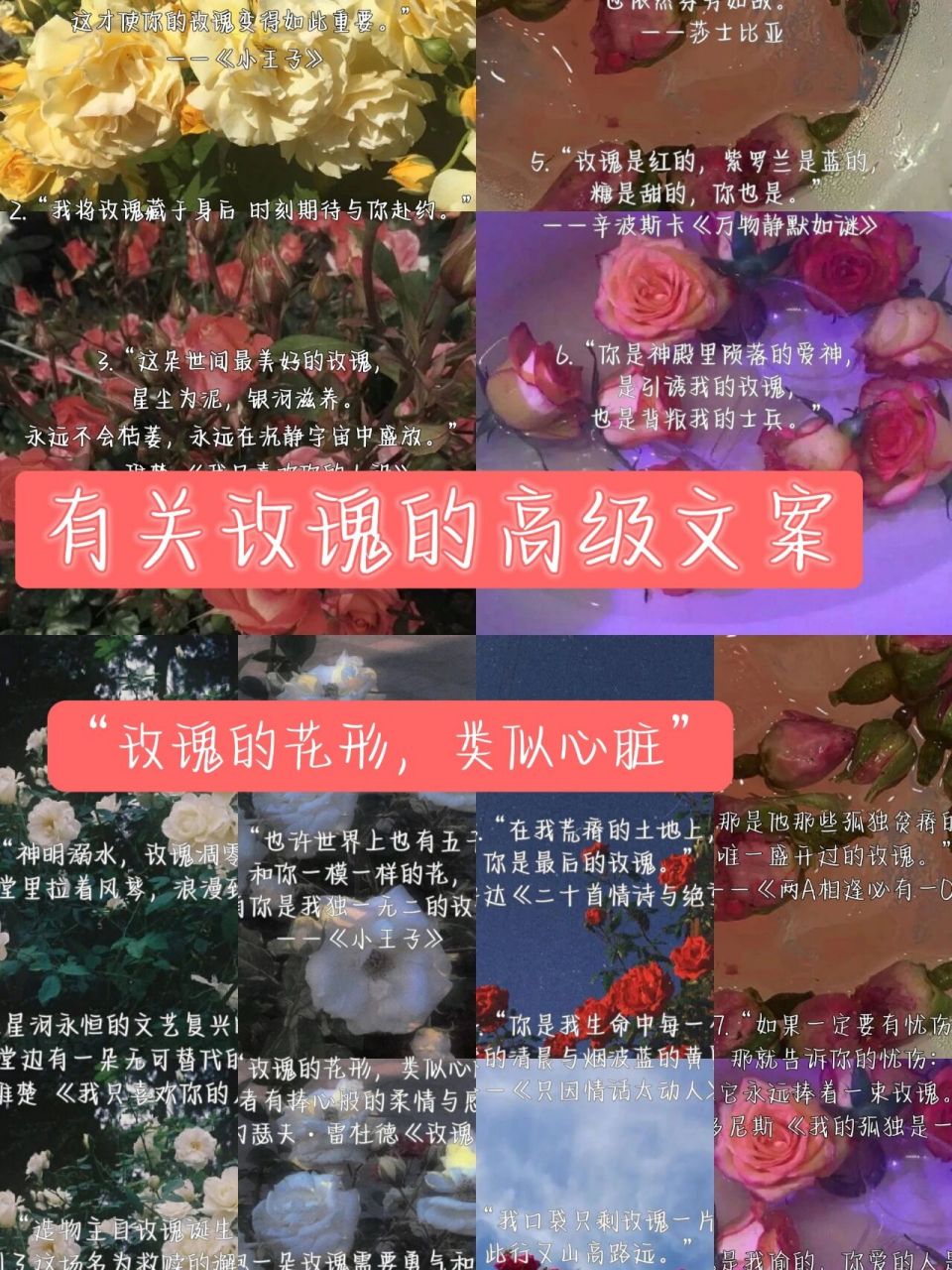 关于玫瑰的文案08 神明溺水,玫瑰凋零. 081.