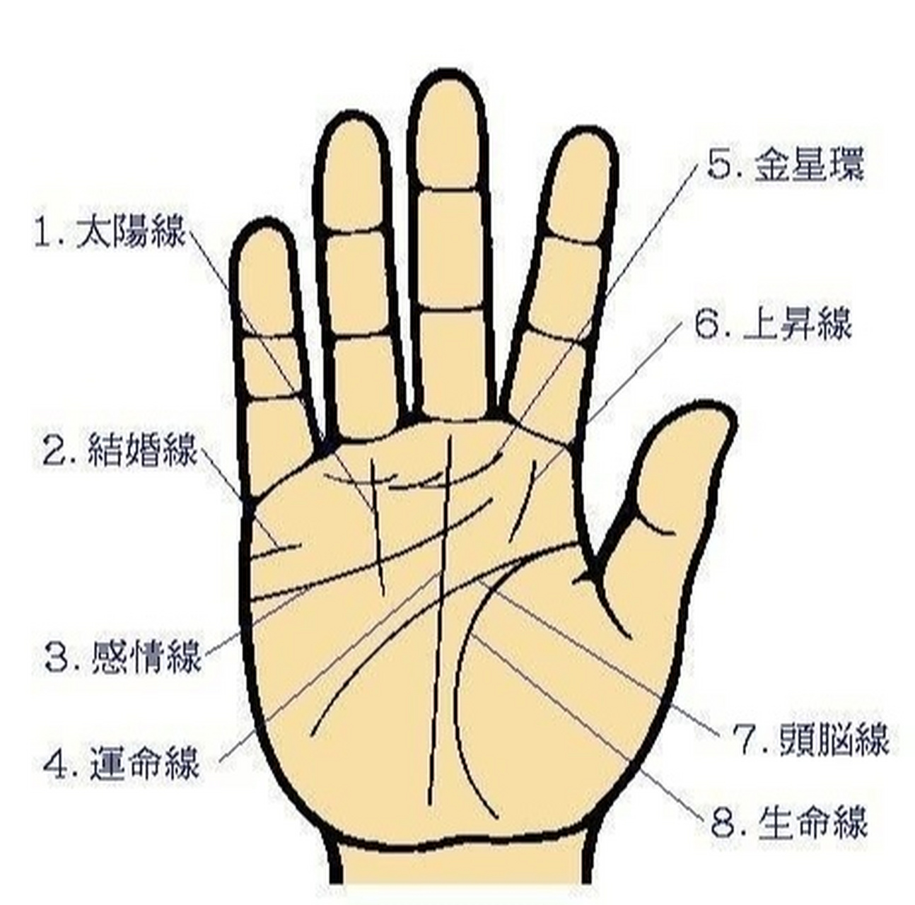 手掌有痣 手指有痣: 在命相学中大拇指以及附近有痣代表父母亲是自己