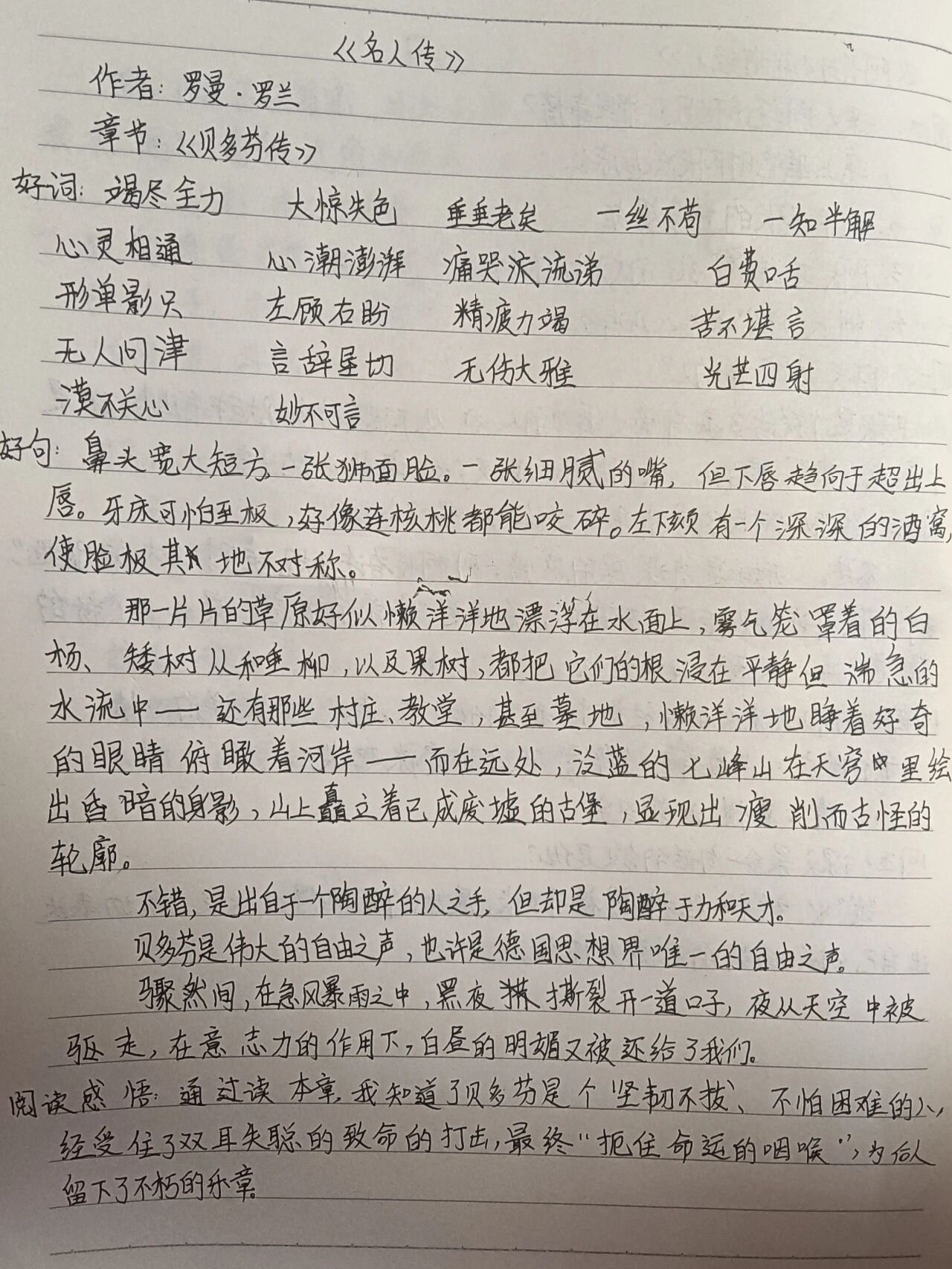 名人传贝多芬读书笔记图片