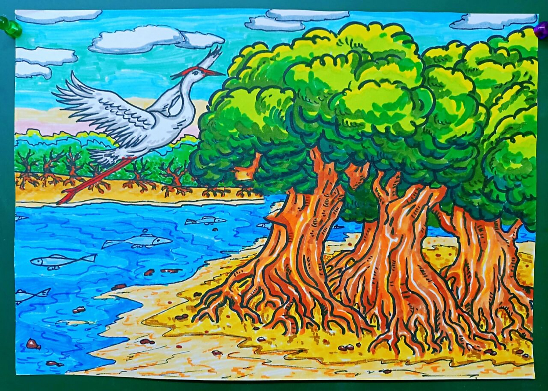 红树林风景儿童画简笔画线描稿水彩笔画 家乡的红树林,现在生态环境好