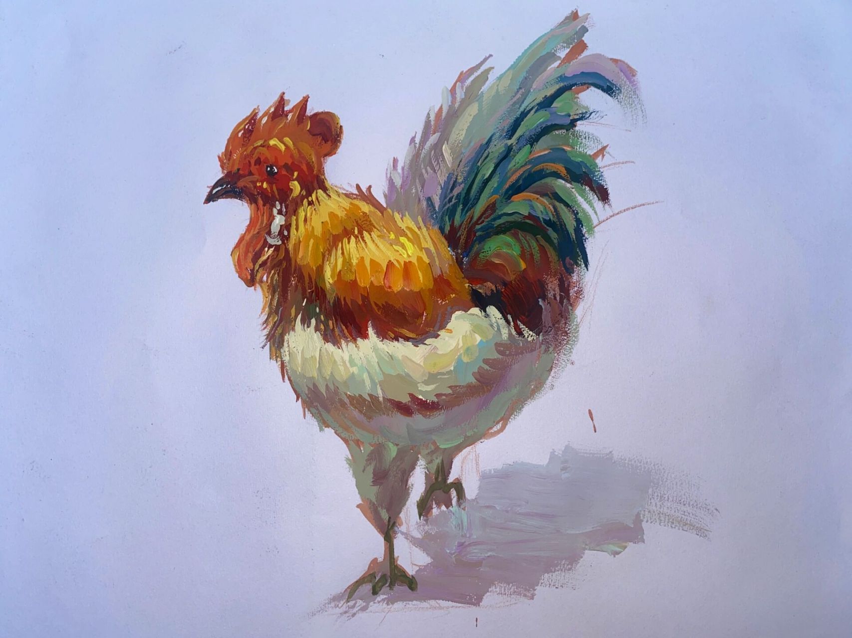 色彩公鸡步骤图