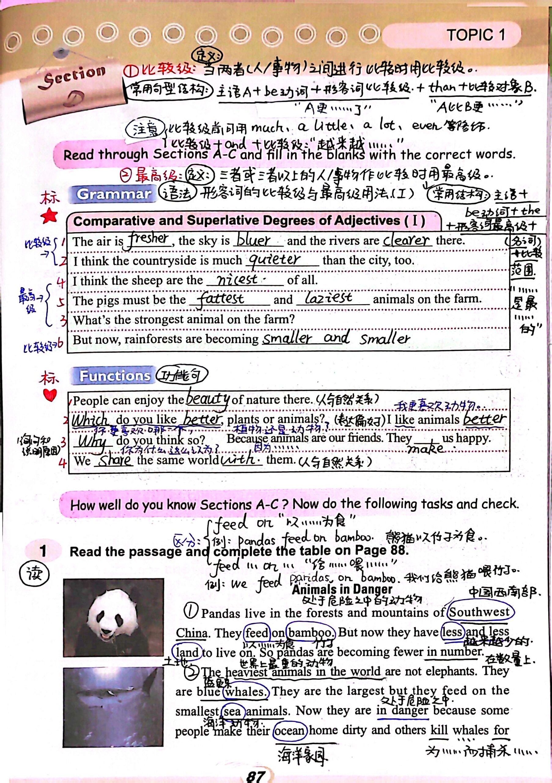 仁爱英语八年级上册课本笔记u4t1