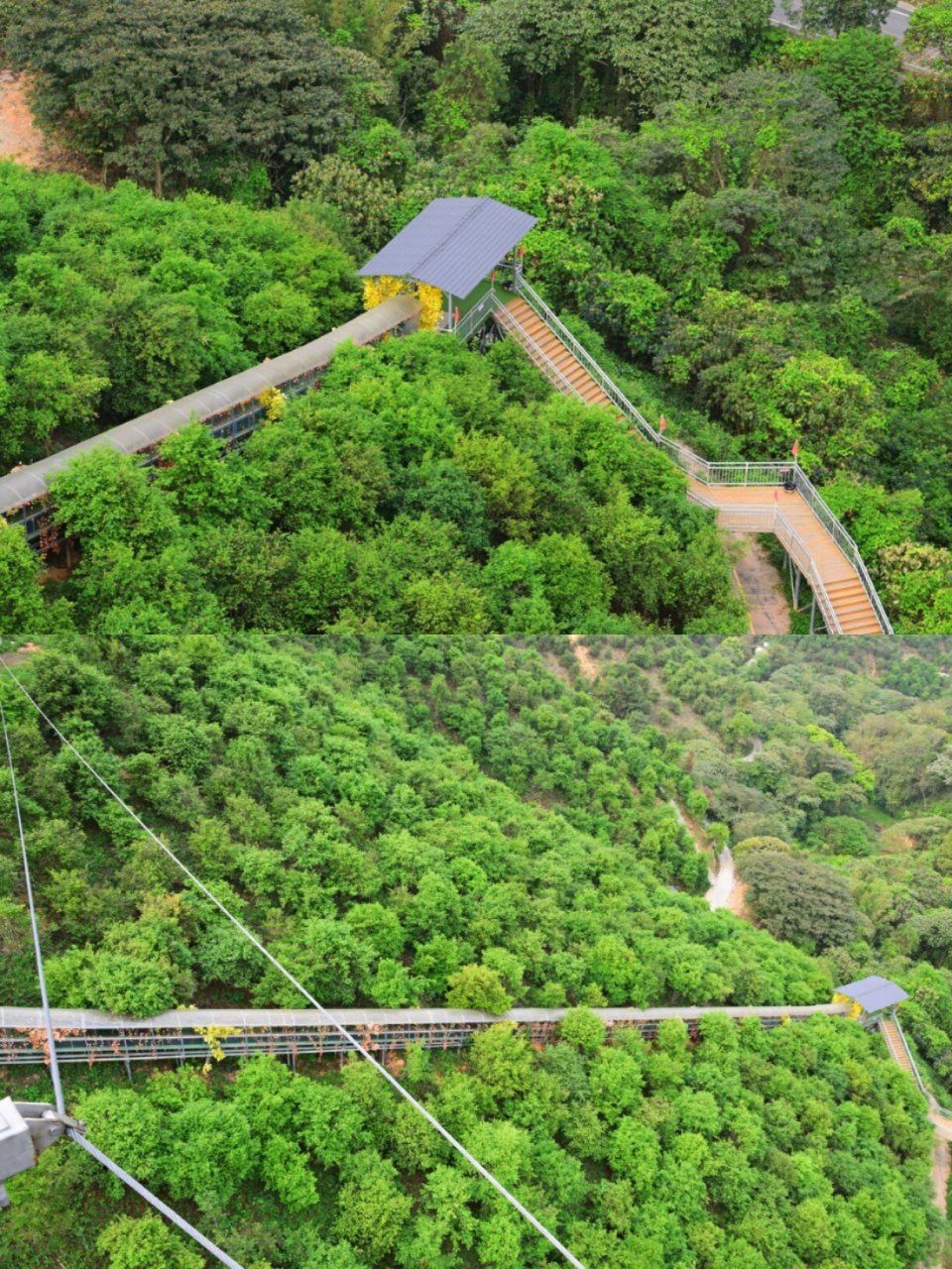 一起去森林公园探险吧757575 南宁必体验:79高峰森林公园 1