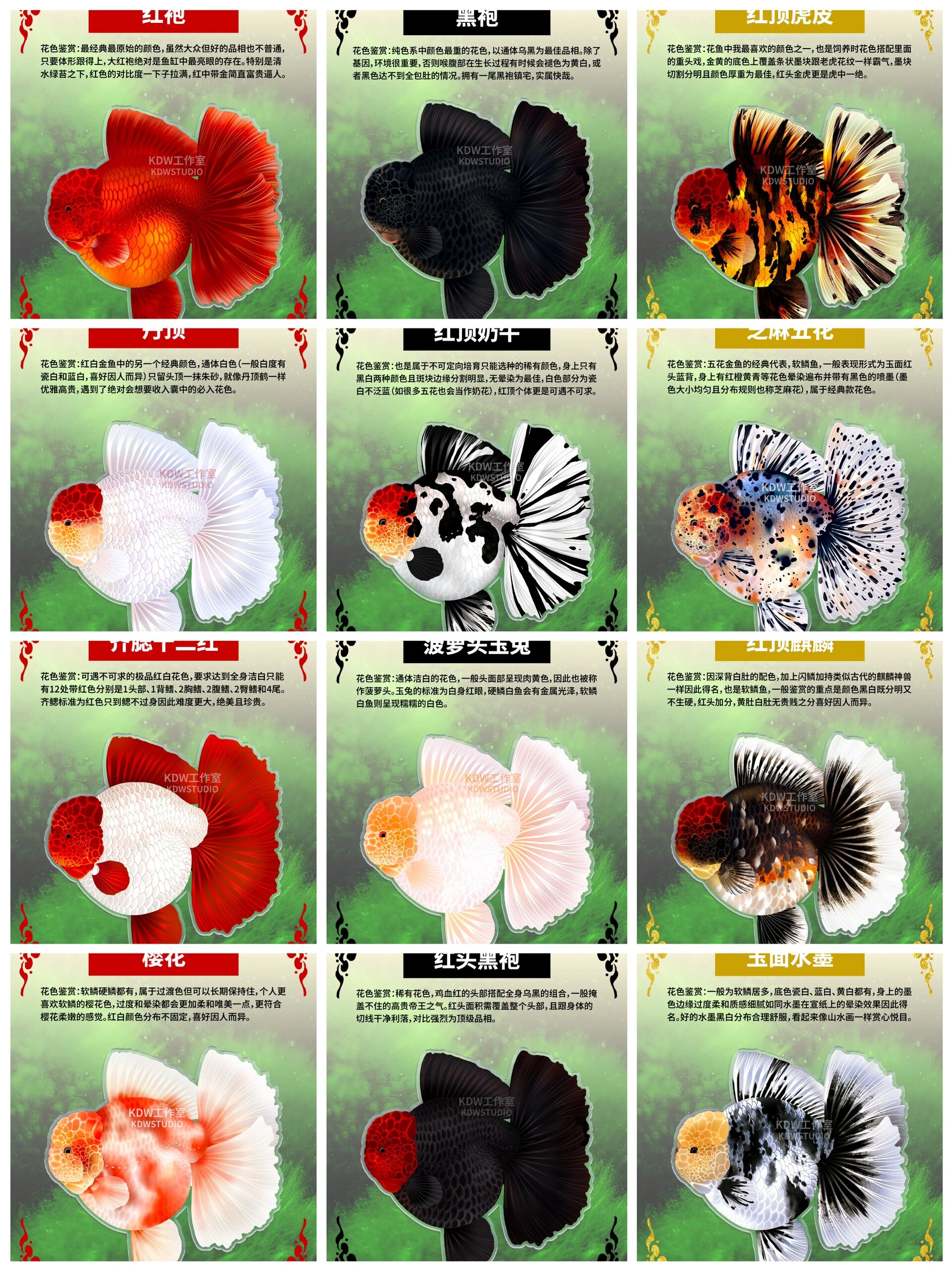 肝完21种泰狮花色的绘制和介绍