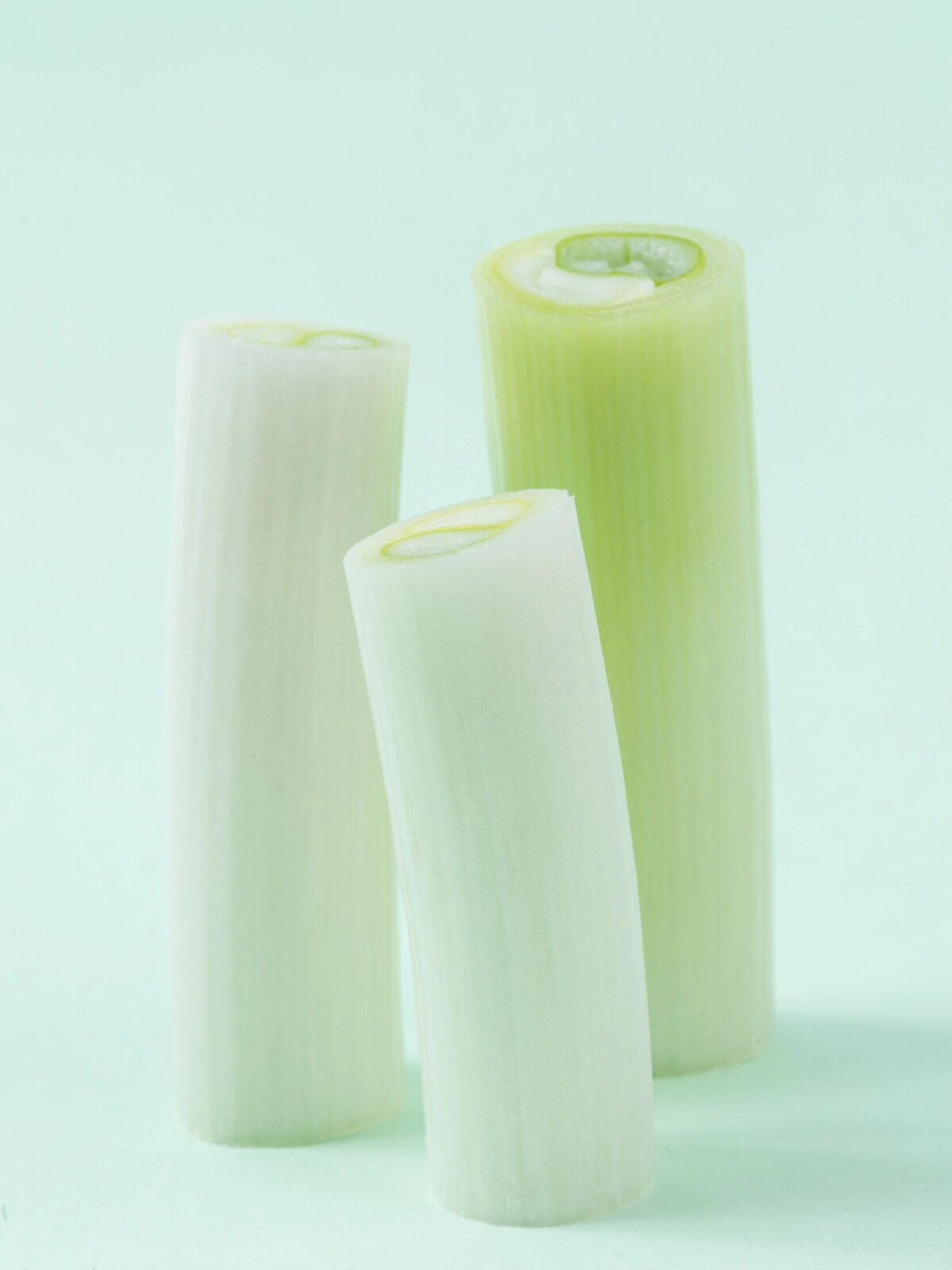 静物摄影 | 大葱 左侧十点钟方向一盏灯,右侧五点方向一盏灯 浅绿色