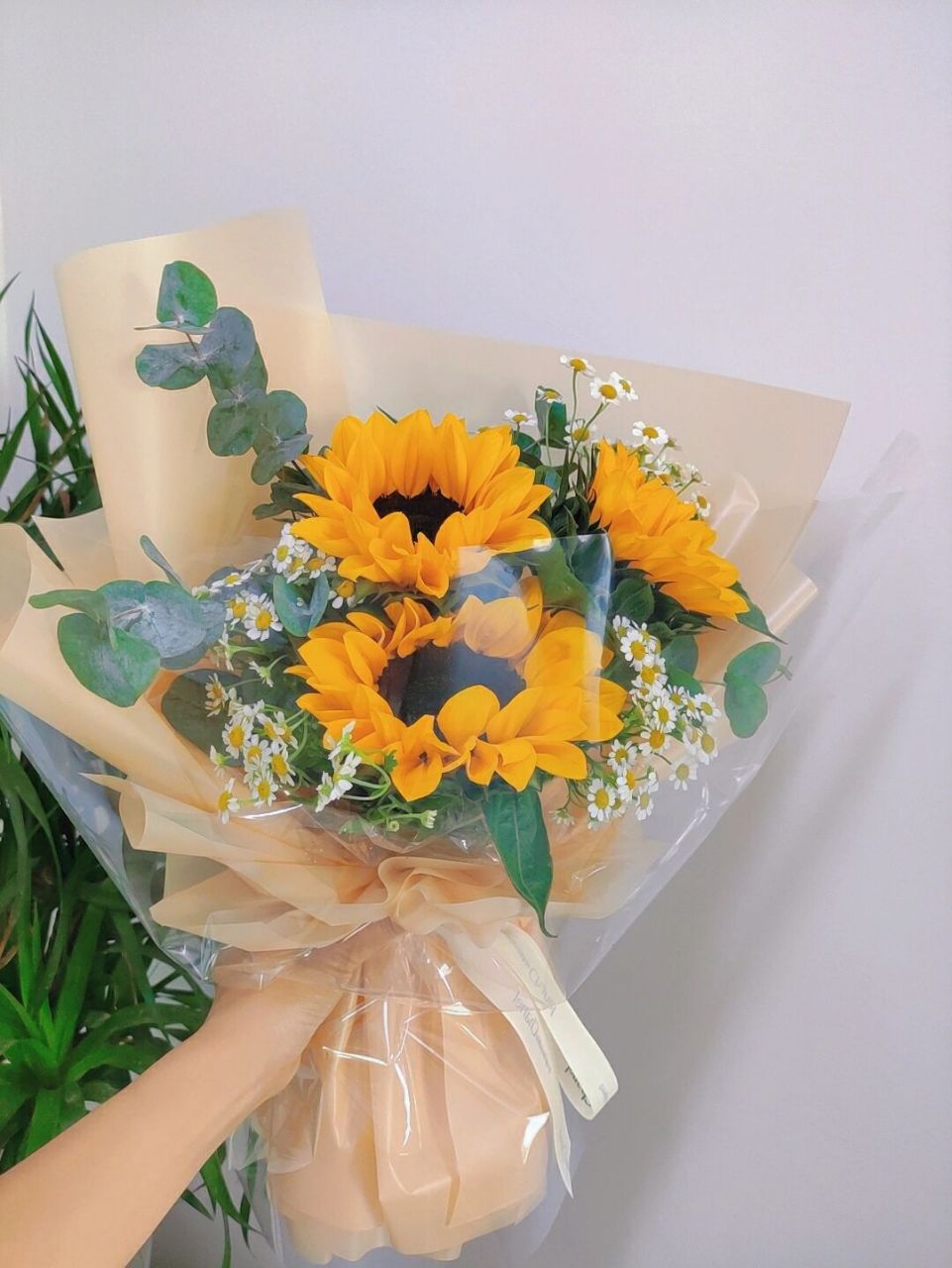 毕业季花礼|高考花束|祝一举夺魁 心怀梦想  未来可期