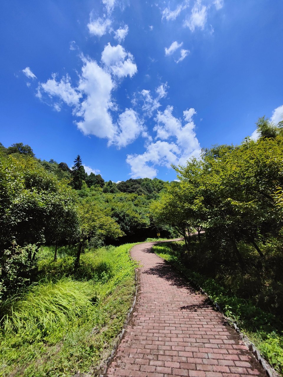 长沙县大山冲森林公园 周末起了个大早去大山冲爬山吸氧