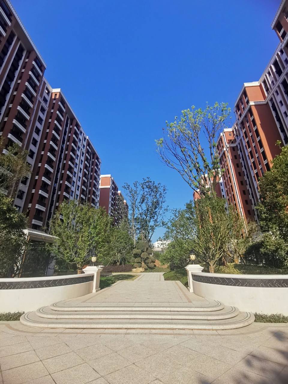 上海新房看房笔记|宝华颛桥紫薇花园|闵行 房看房流程:提前预约销售