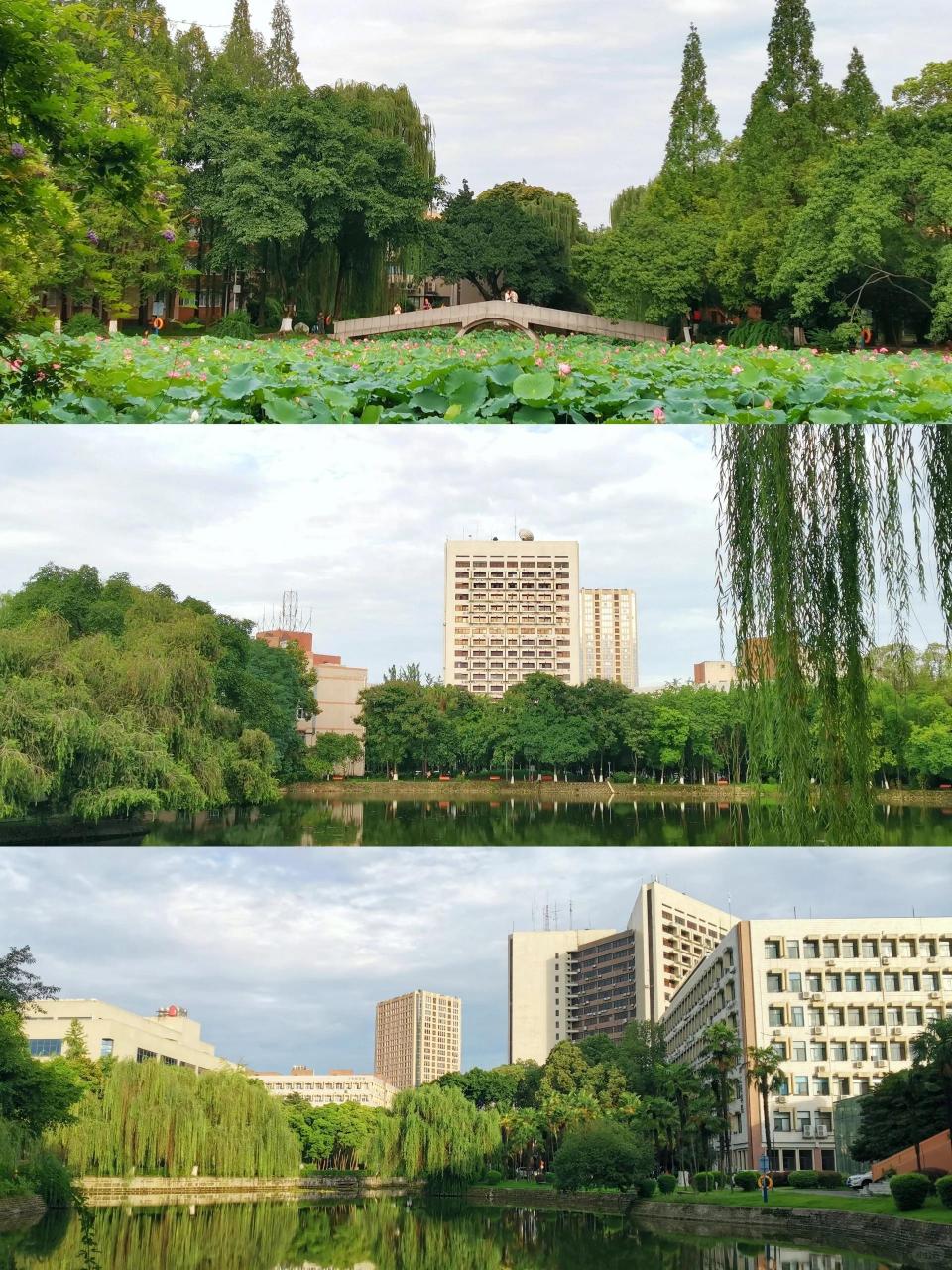 西南交通大学九里校区(二)