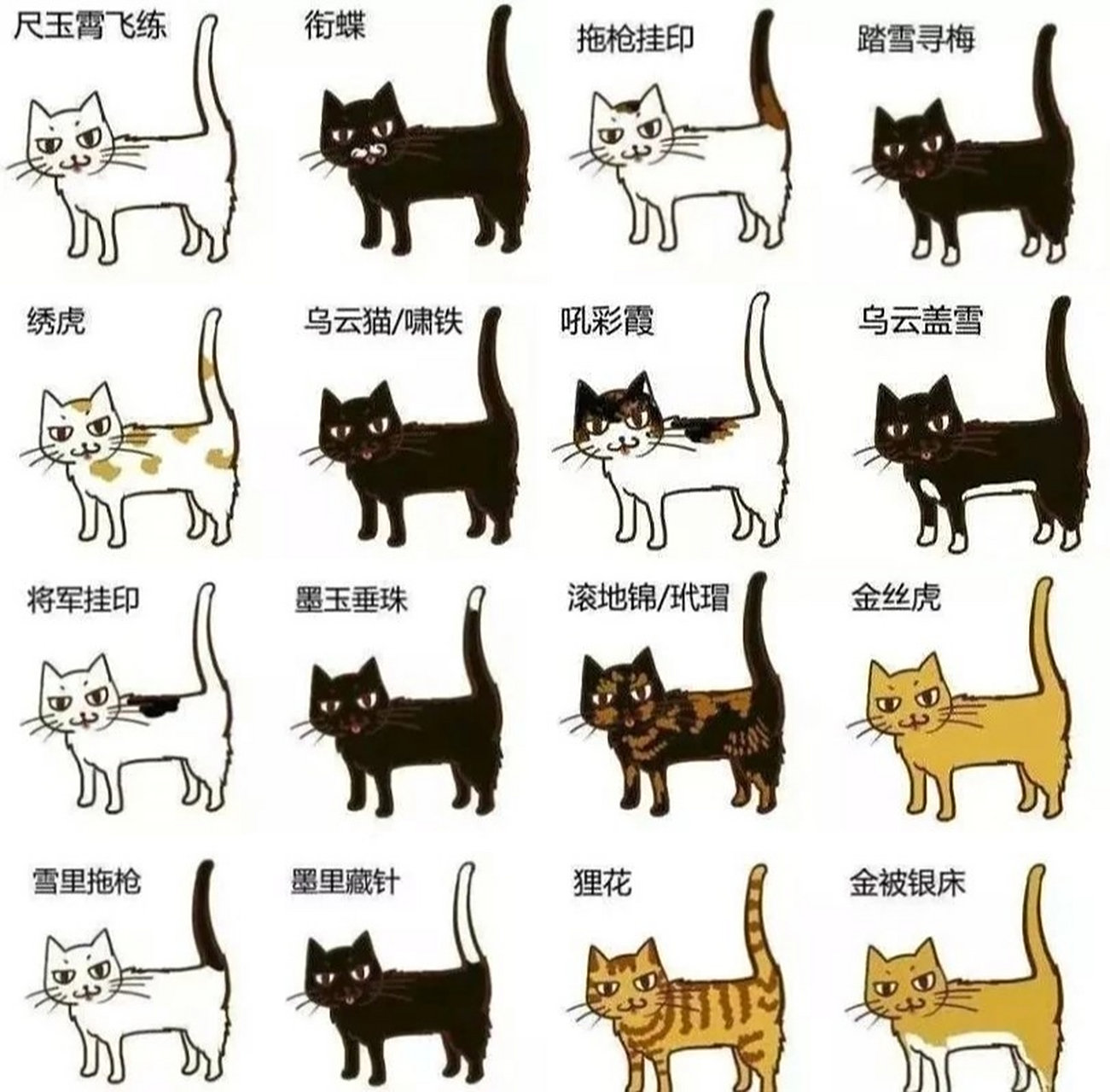来康康  你的猫咪在古代叫什么名字?