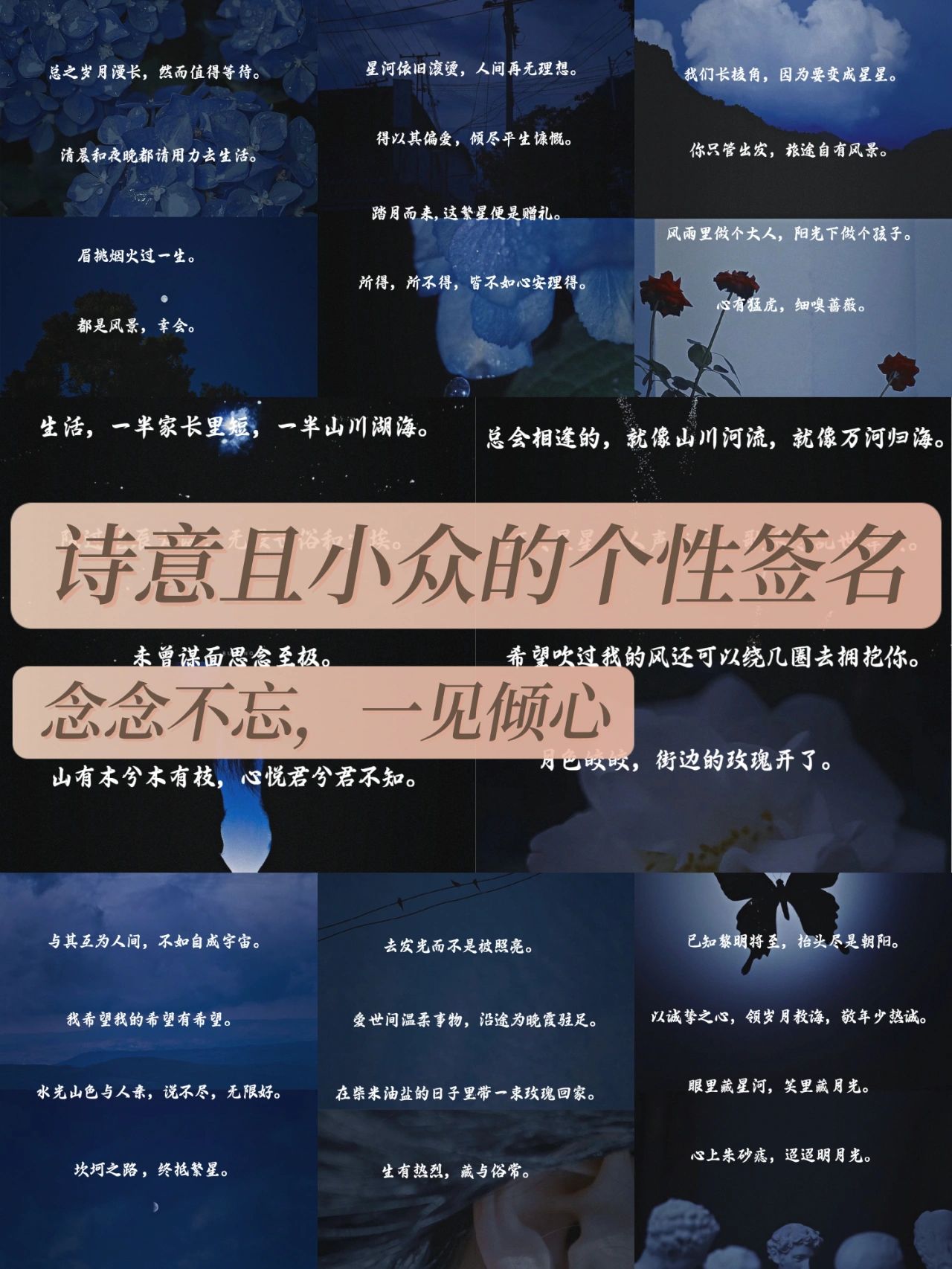 诗意且小众的个性签名丨念念不忘一见倾心