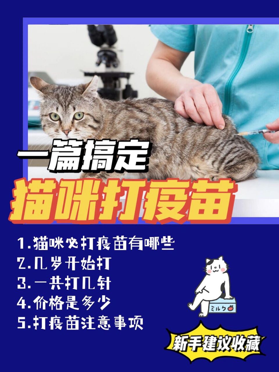 猫打疫苗多少钱图片