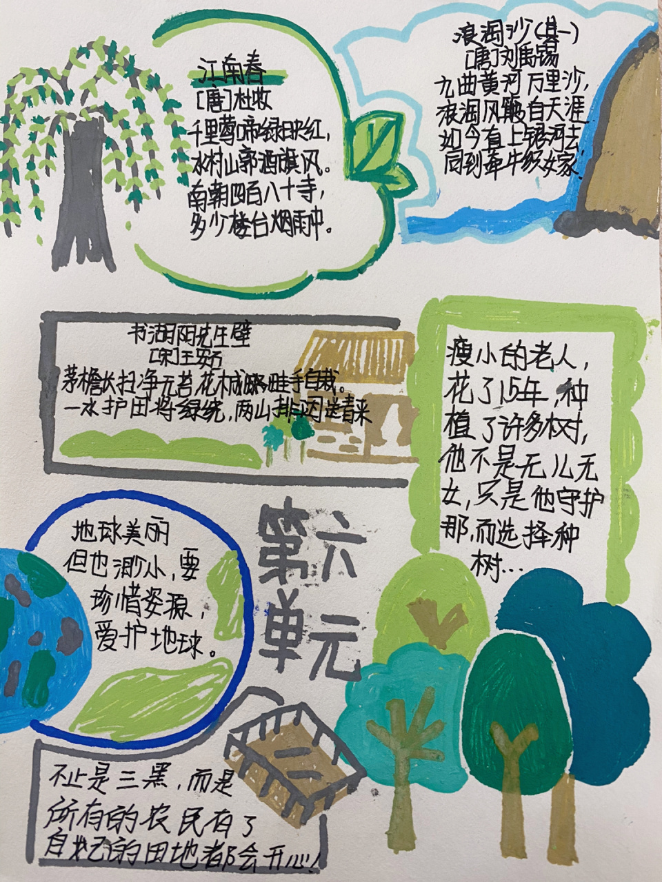 六上语文特色作业——第六单元小报