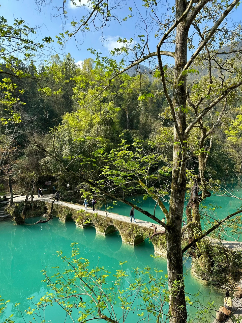 原以为游小七孔需要一整天!不想早起赶高铁所以提前一晚到荔波!