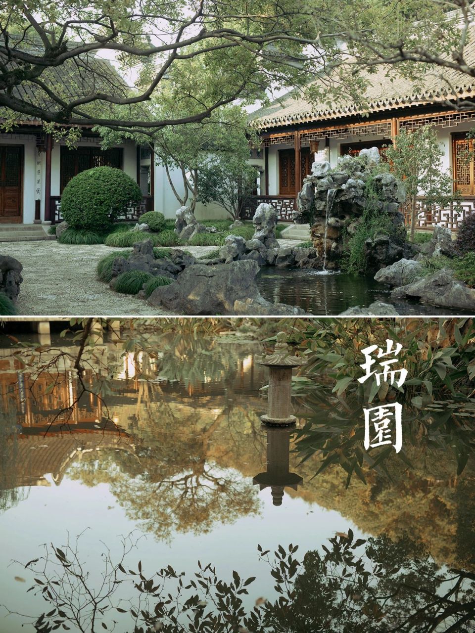 苏州小众园林瑞园 | 园林美图 很少有人知道瑞园,瑞园是一座私家园林