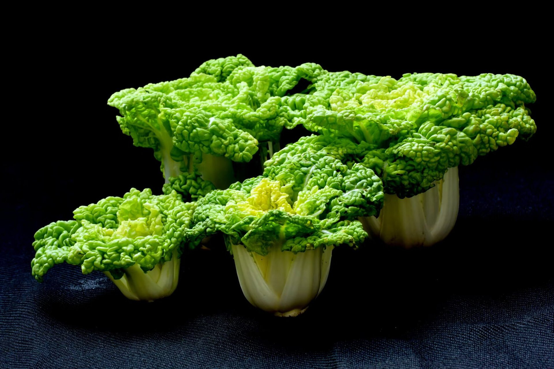 卷窝菜 十字花科  芸薹属,又名黄心菜,冬白菜,菊花心,在豫南信阳有