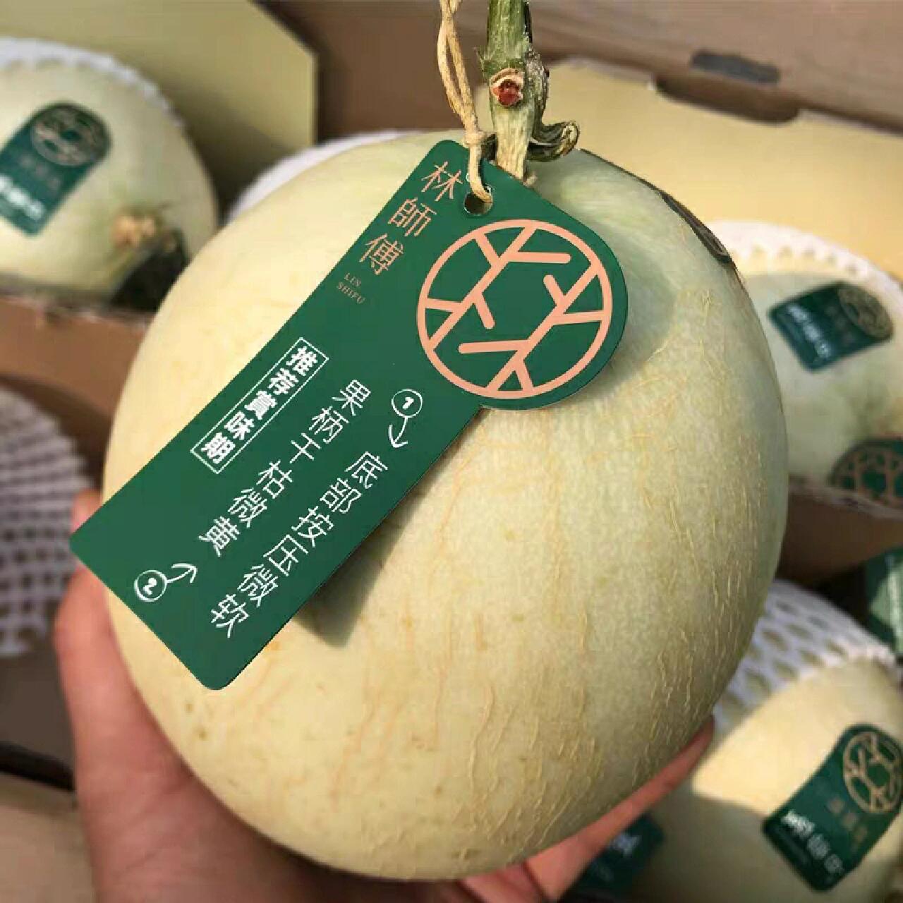林师傅白雪蜜瓜