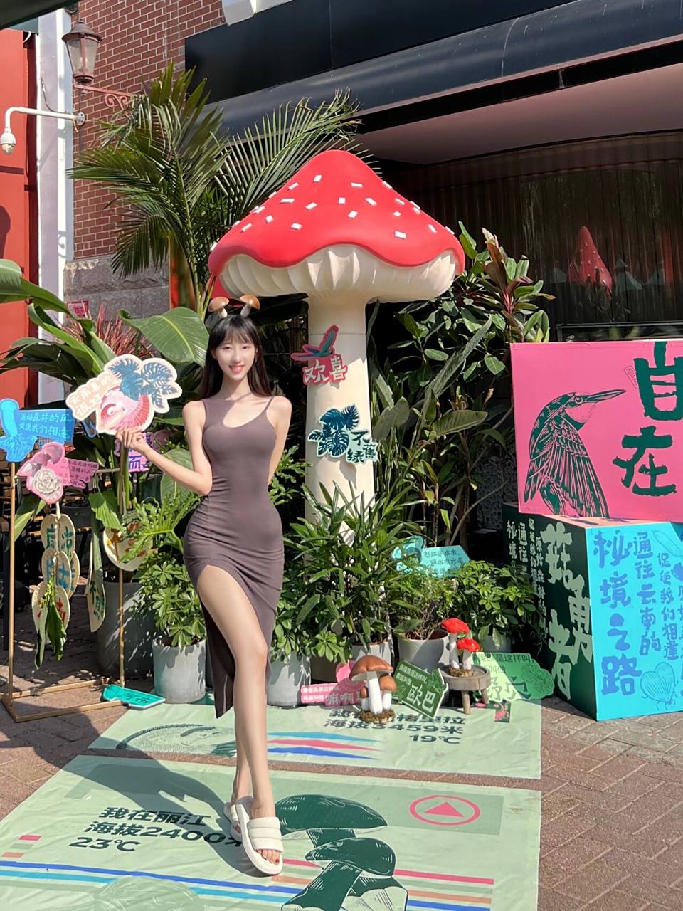 北京探店|云海肴96限定菜单 94来吃云海肴的松茸了,赶上了今年