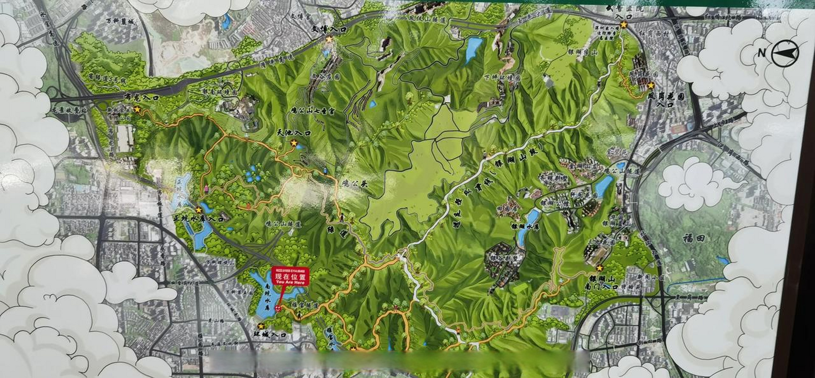 记录绽放的春天 深圳南坑水库是一个非常适合徒步旅行的地方.