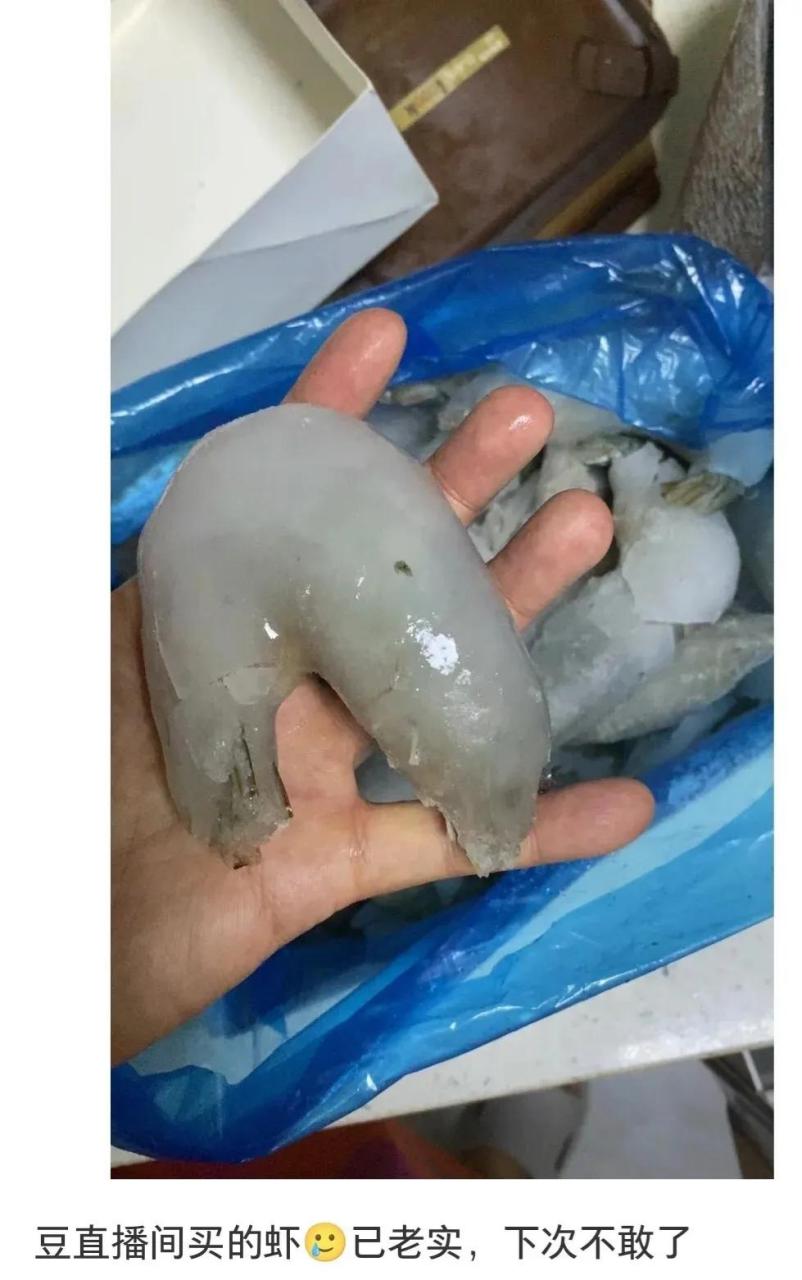 这千年寒冰虾的确适合冰属性体质的境界突破用,真是物超所值!
