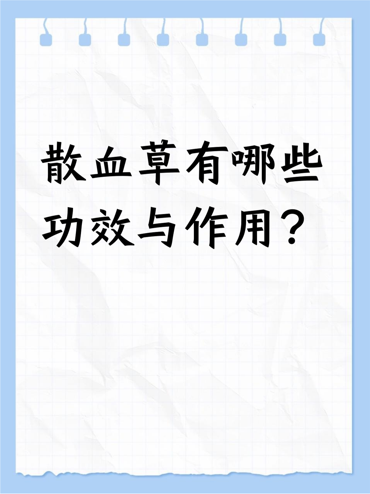 散血草功效不少!它能消肿止痛,有伤口时用用挺好