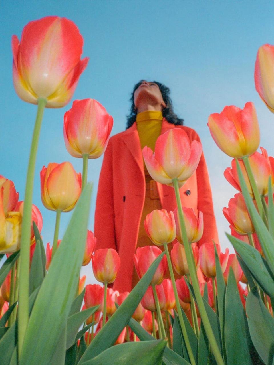 📷摄影师:jimmy marble 1️⃣构图:汇聚线构图,线条将视线引导