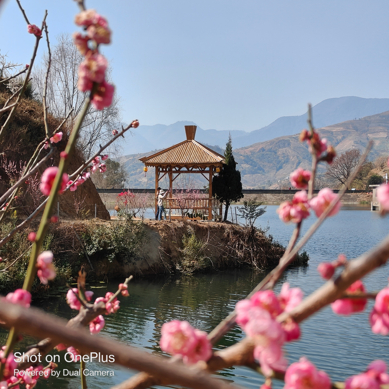 in terms of color presentation, oneplus ace2 and realme gt neo5