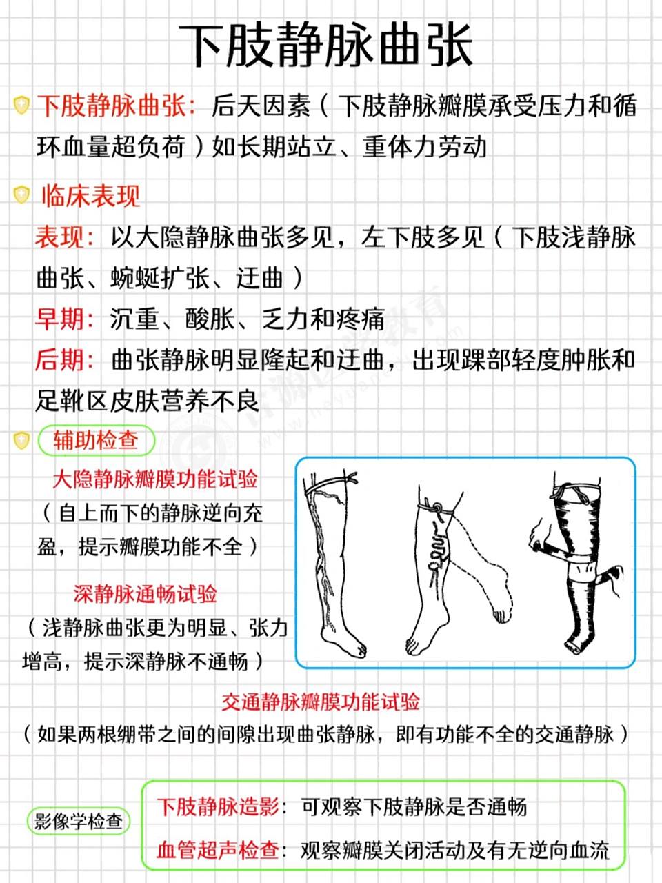 97护考笔记‖循环系统‖下肢静脉曲张 97病因 78先天因素:静脉