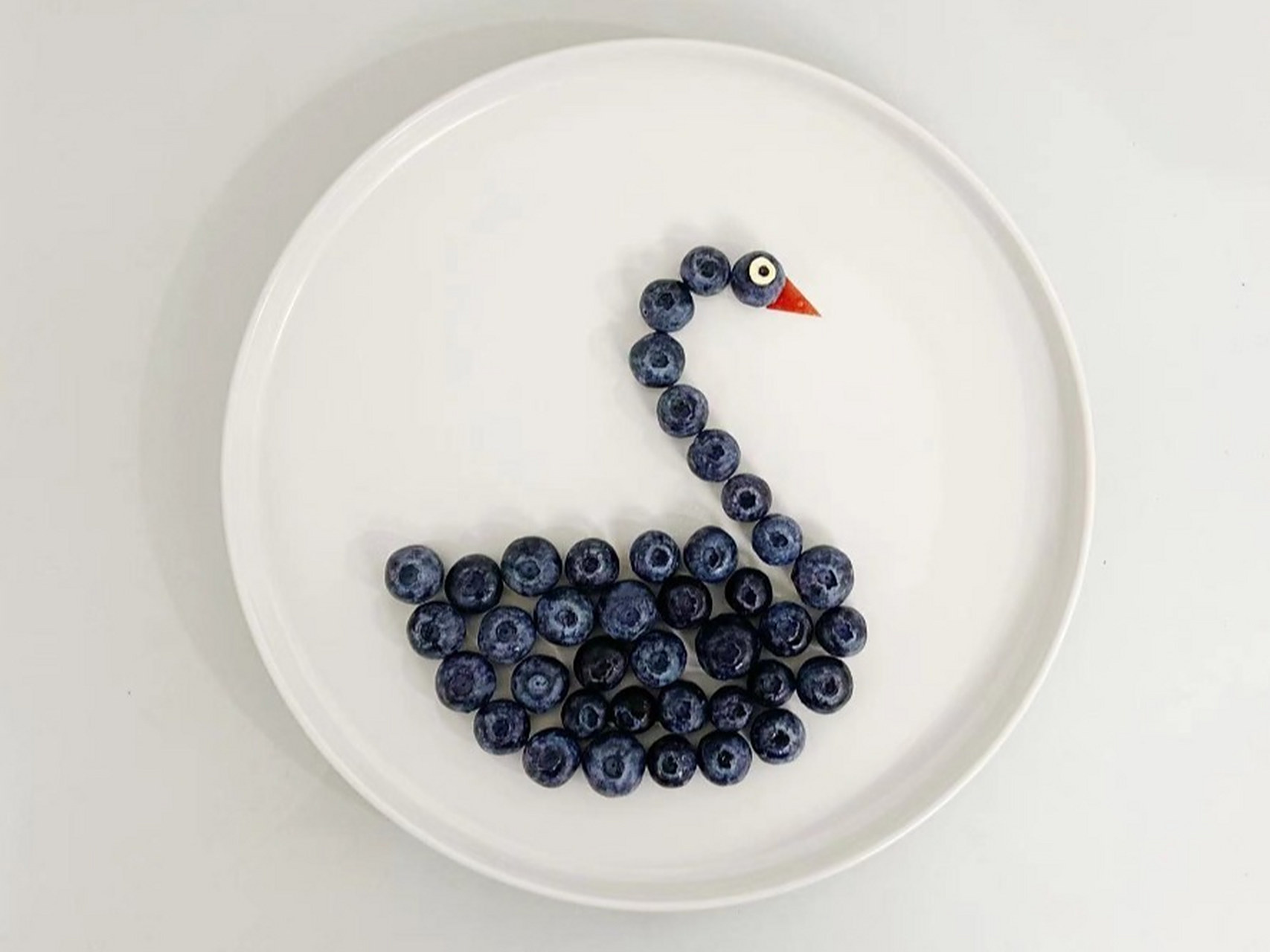 今日plog:创意水果摆盘 蓝莓堆成一个黑天鹅 嘴巴是用的苹果果肉哦