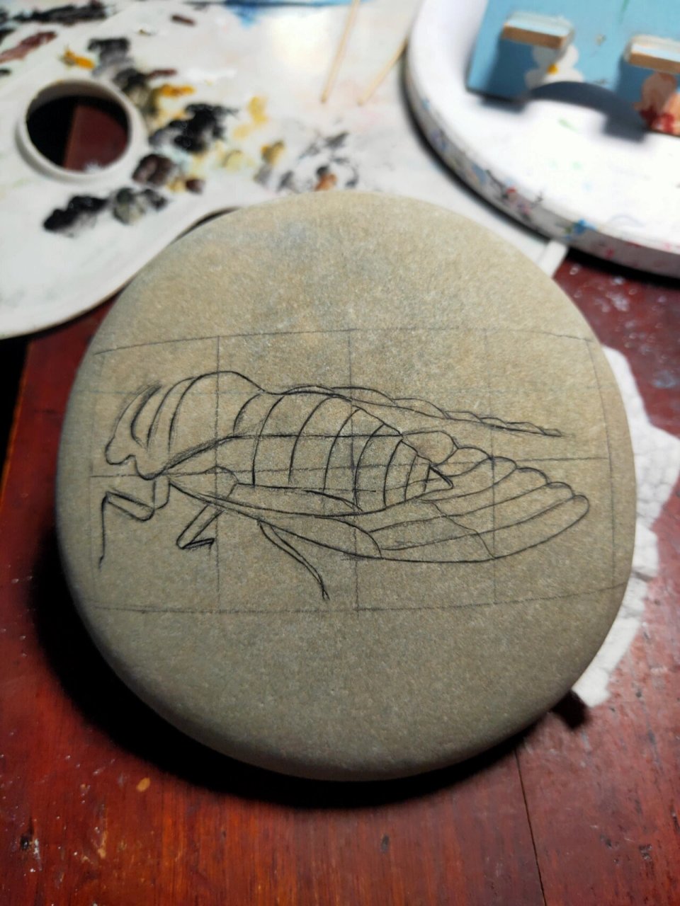 丙烯石头画 蝉 知了 蝉  一鸣惊人 蝉的鸣声响亮干脆,有着一鸣惊人之