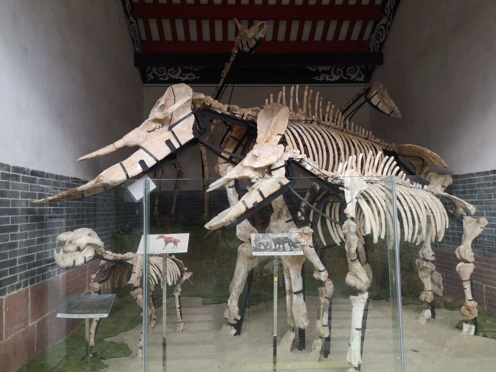 金山地质博物馆濠迳分馆是将明代古建筑活化在乡村的全国首家乡村