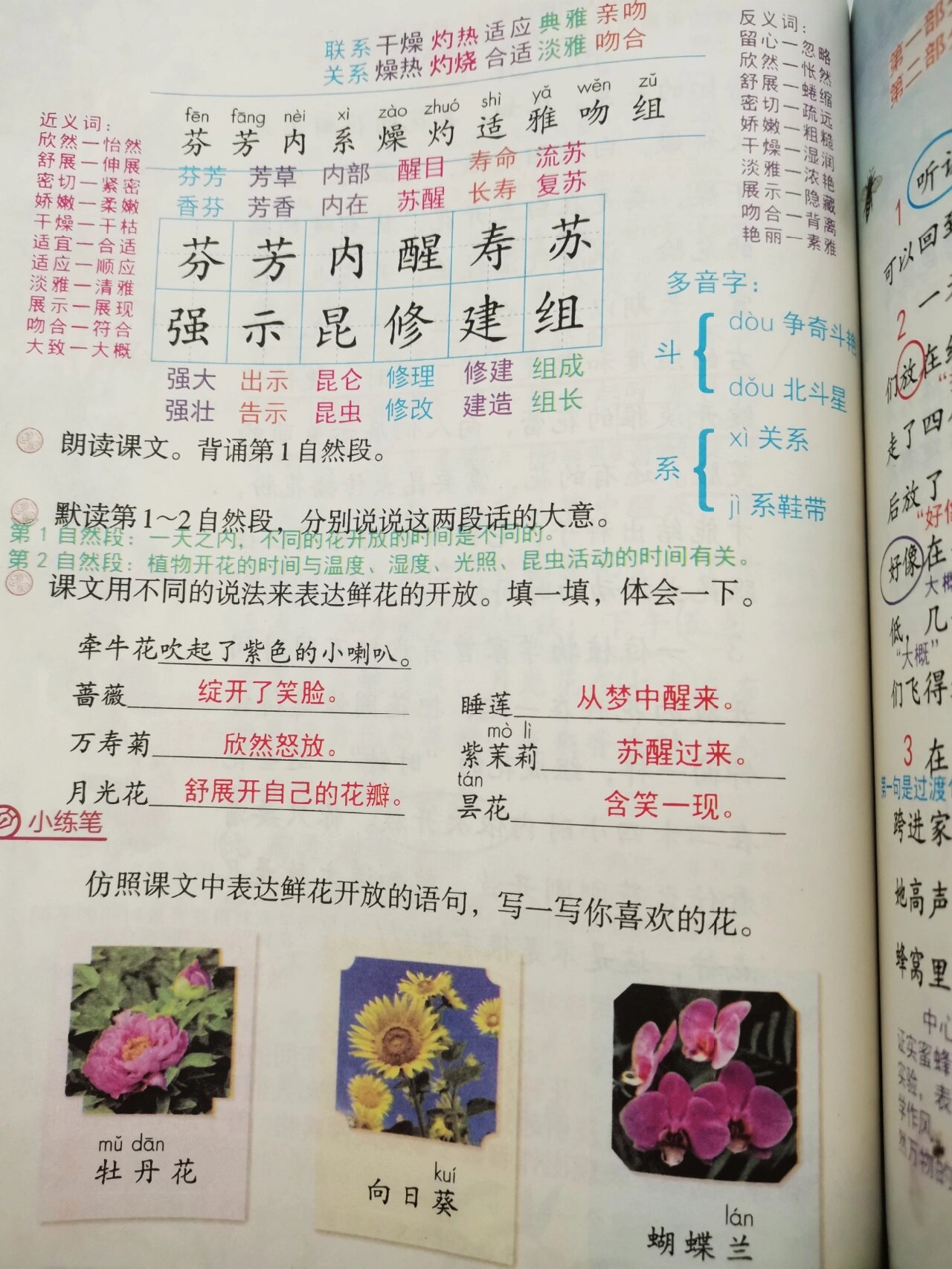 三下|13.《花钟》