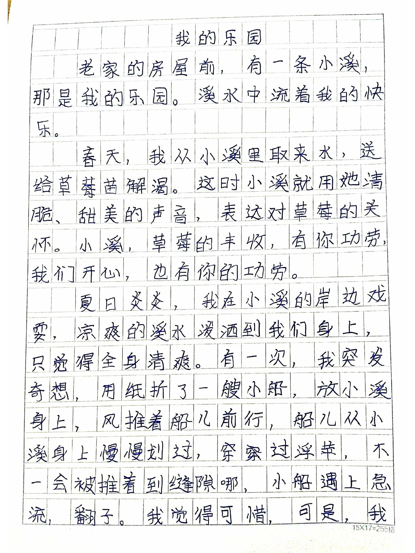 我的乐园300字儿作文图片