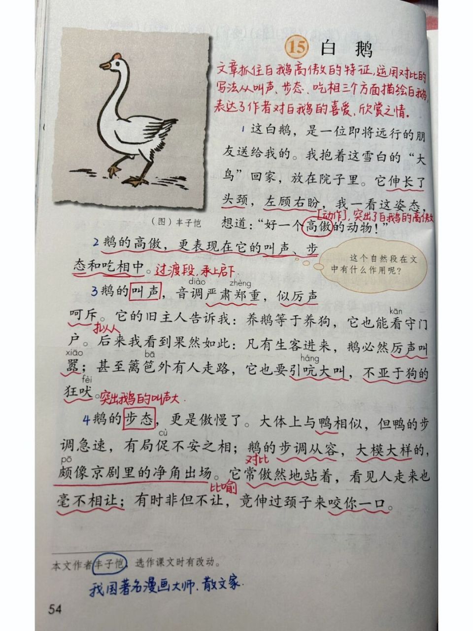 四下课堂笔记|第15课 白鹅 #小学语文# #课堂笔记# #小学语文课堂笔记