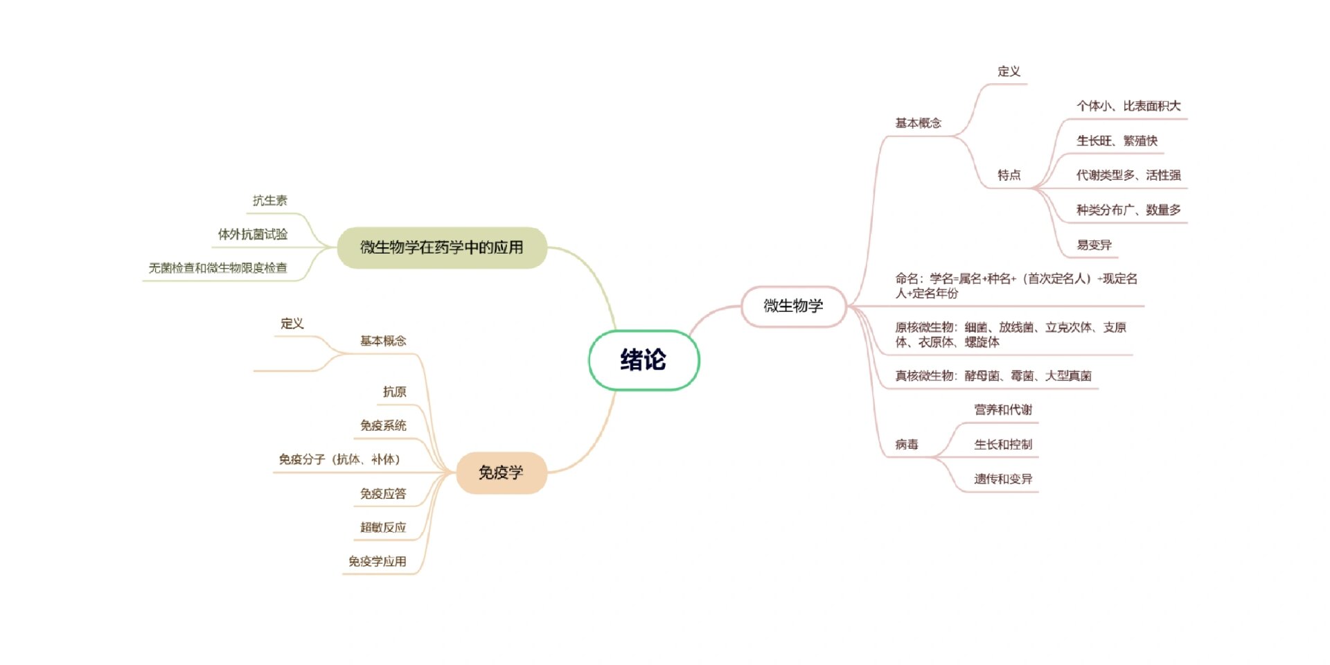 微生物的分类思维导图图片