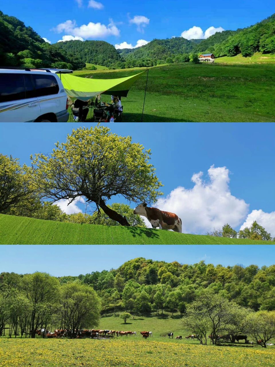 避暑圣地之九龙山&大水川风景真的是绝了 :宝鸡大水川风景区&九龙山