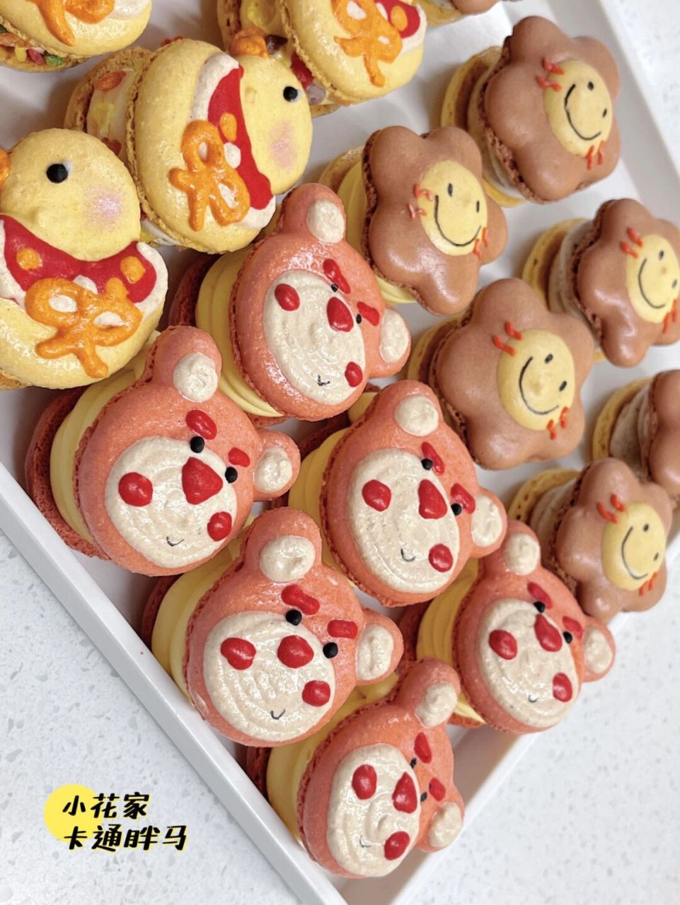 濮阳|可爱无敌胖马卡龙 #马卡龙# #卡通马卡龙# #高颜值甜品店# #濮阳