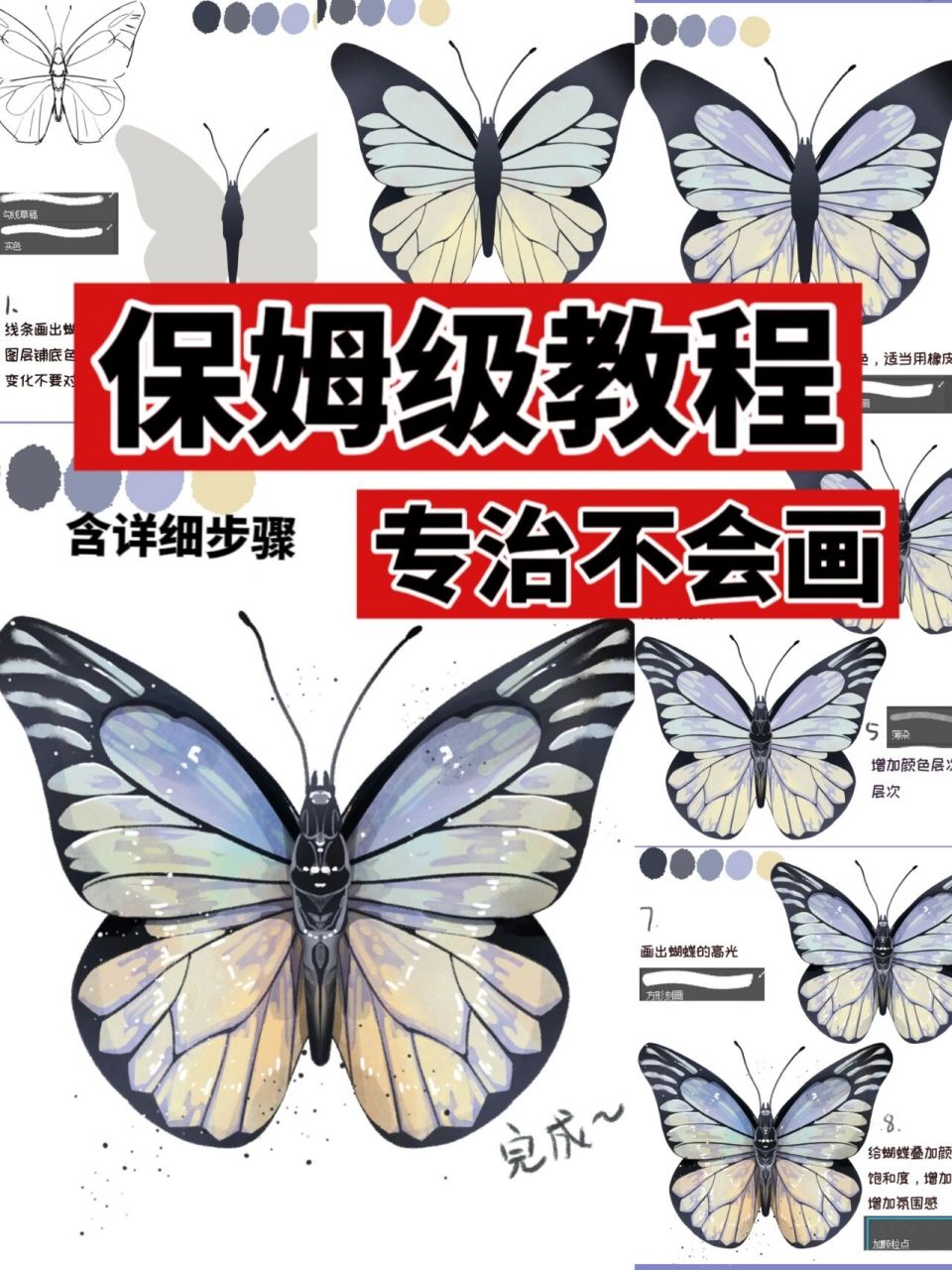 【插画教程】教你画蝴蝶 今天开始来个蝴蝶专场!