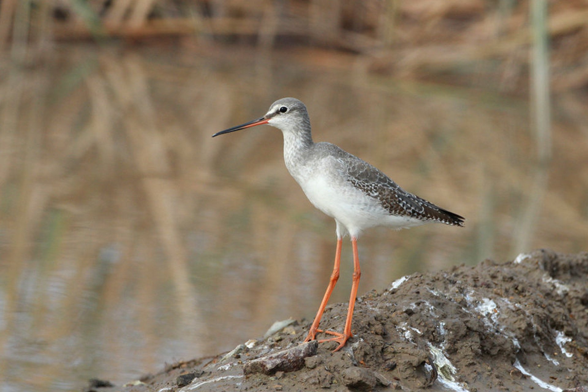 【换上春装,判若两"鸟"】#美丽宁波#春天来了,人们脱下了厚重的冬装