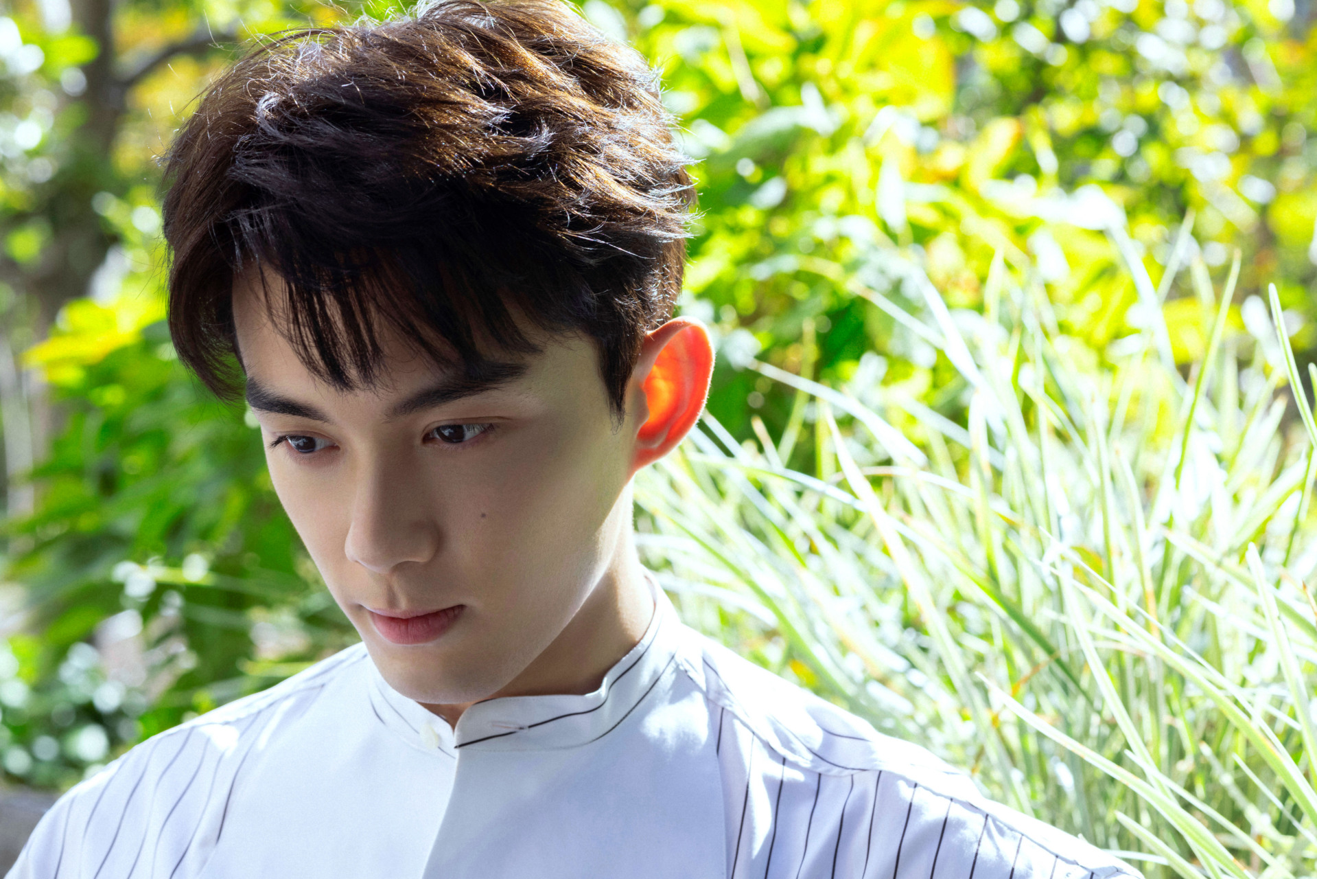 生长有其时,草木蕴能中.吴磊leo