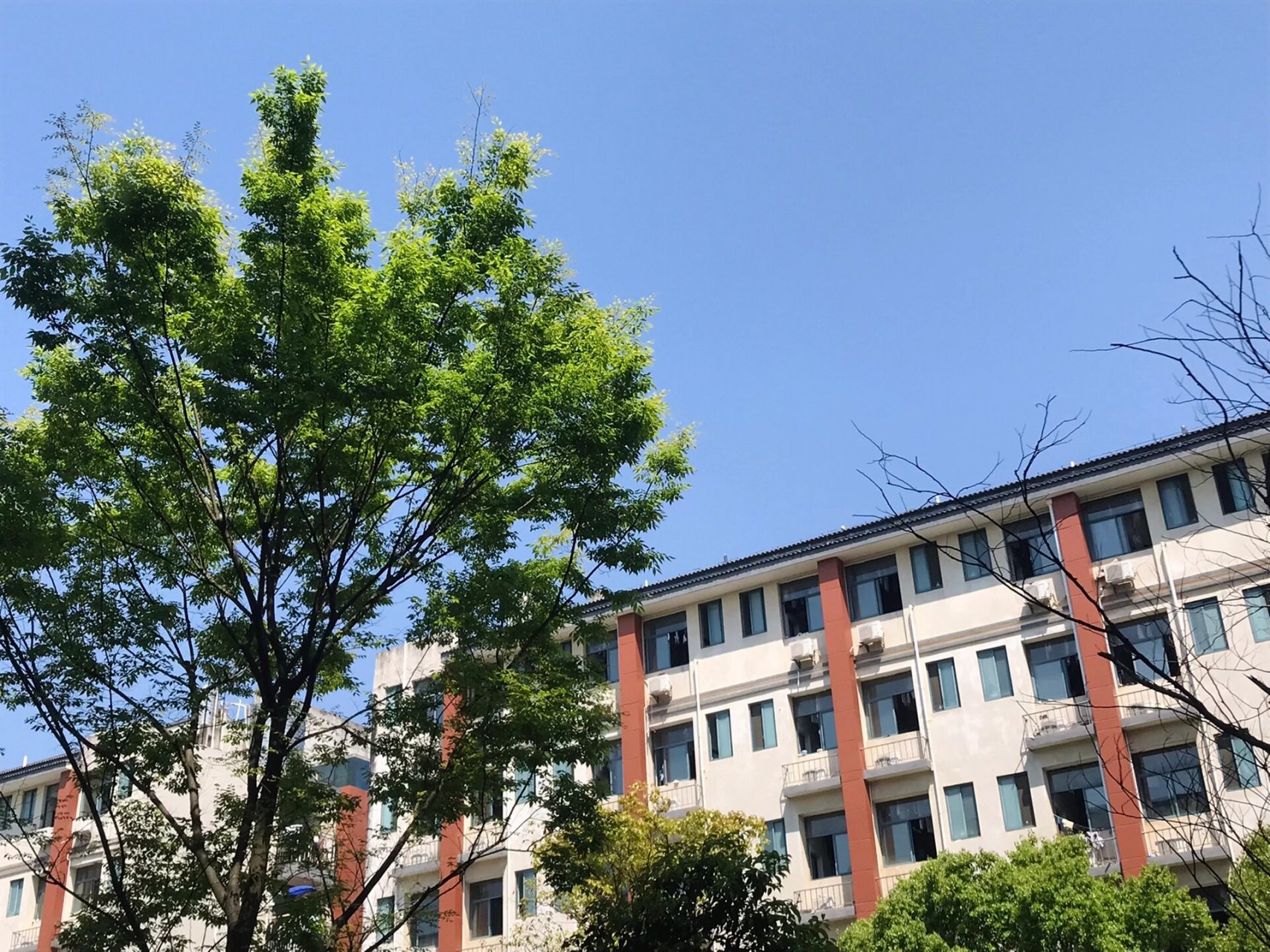 带你看看白鹭洲中学的角落 回忆白鹭洲的新校区 大部分还是高一时拍的