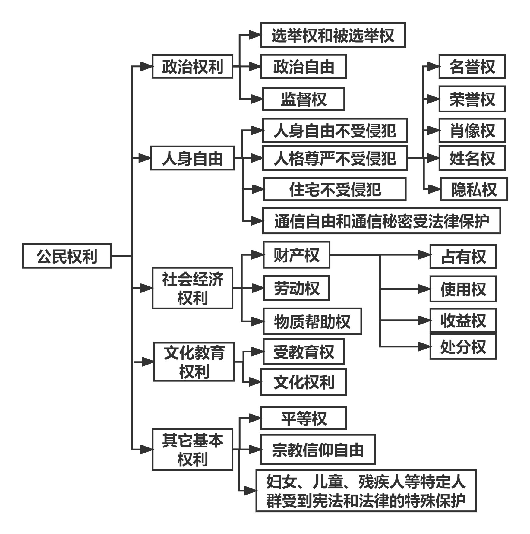 公民基本权利树状图图片