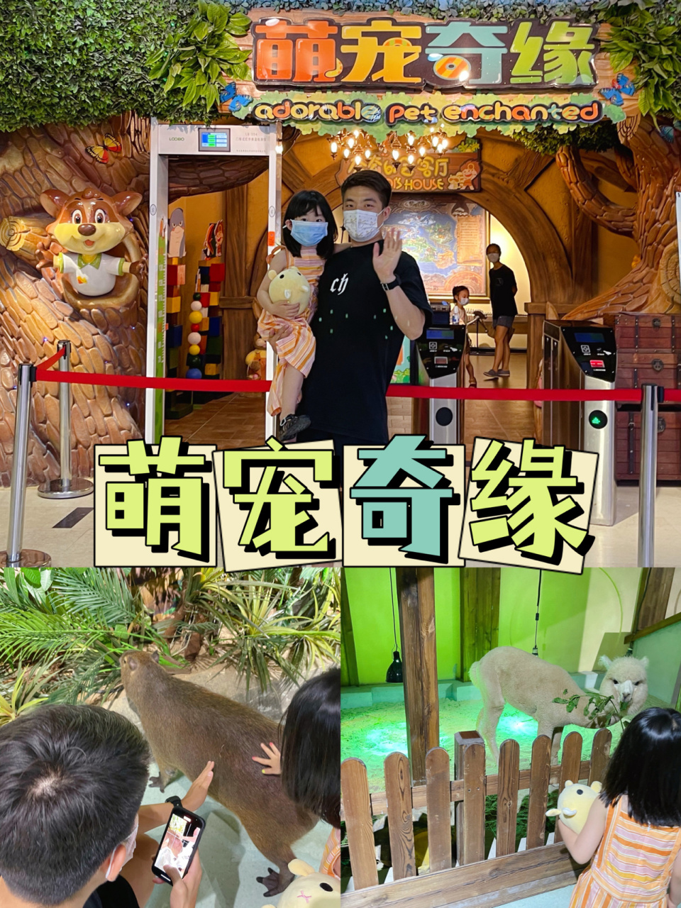 石家庄遛娃 | 萌宠奇缘室内动物园6015 夏天真真正正的来啦,大