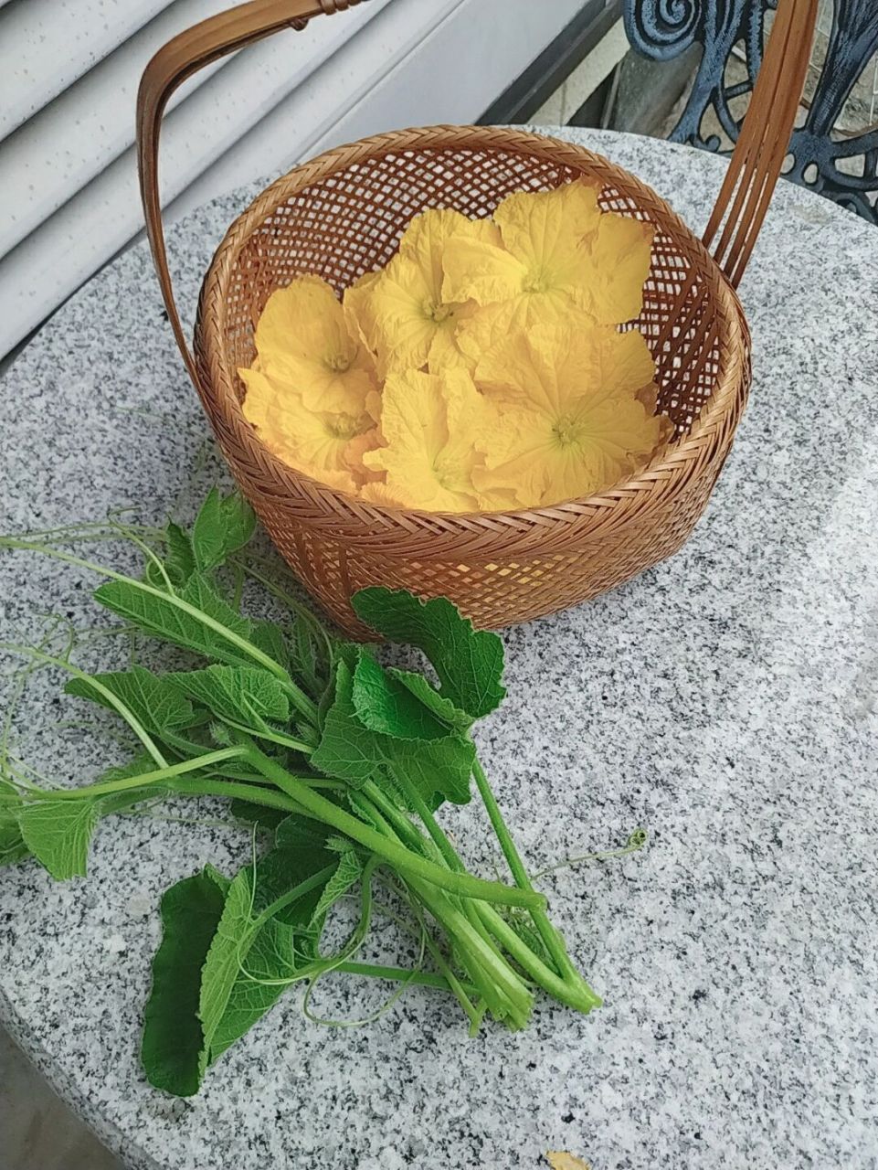 丝瓜花区分和吃法 丝瓜花区分和吃法 区分:图一二是雌花,花下面有小