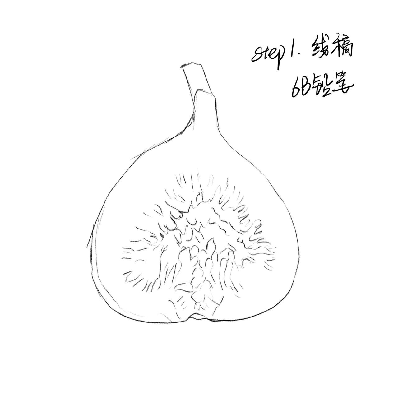 无花果种子简笔画图片