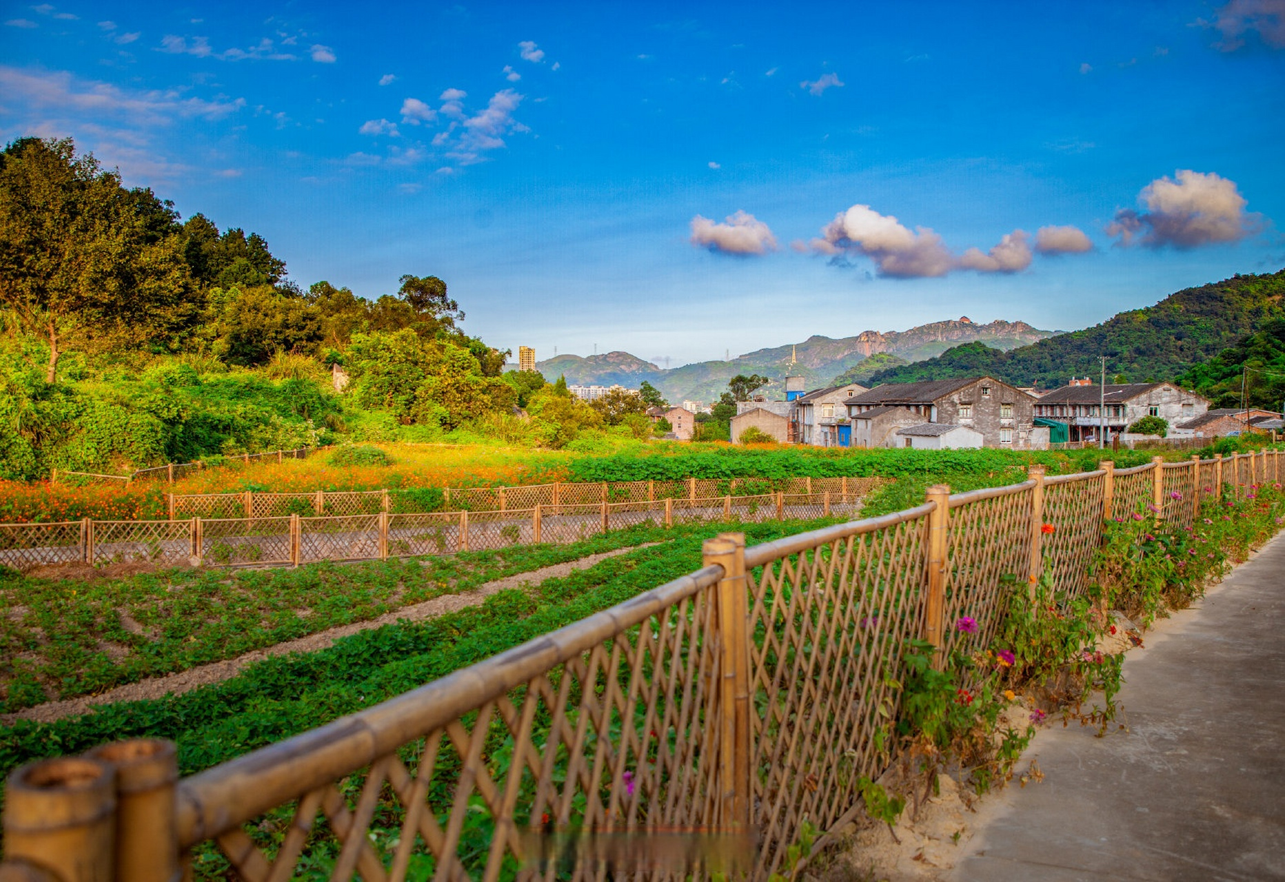 梅山镇梅峰村图片