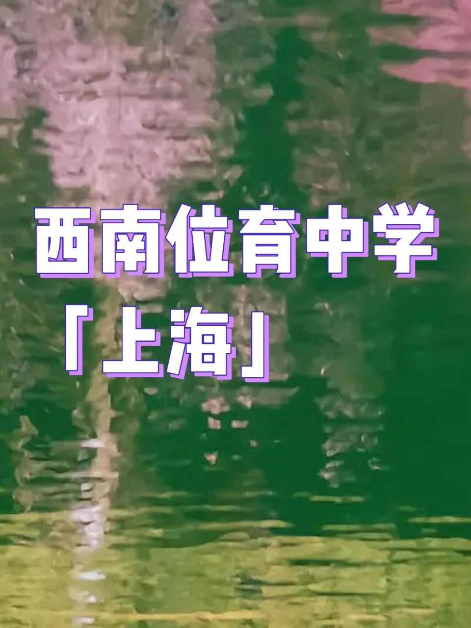上海市西南位育中学「国际高中」 学校概述上海市西南位育中学创办于
