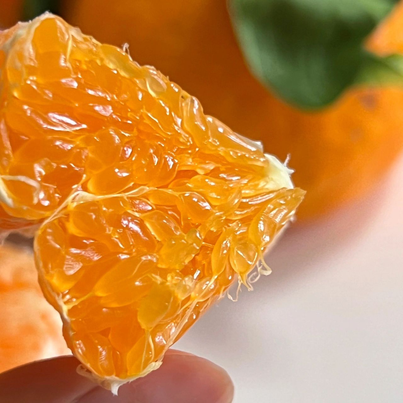 目前心中排前三的高端柑橘92 爱媛43,又名黄公主,相思醉美人.