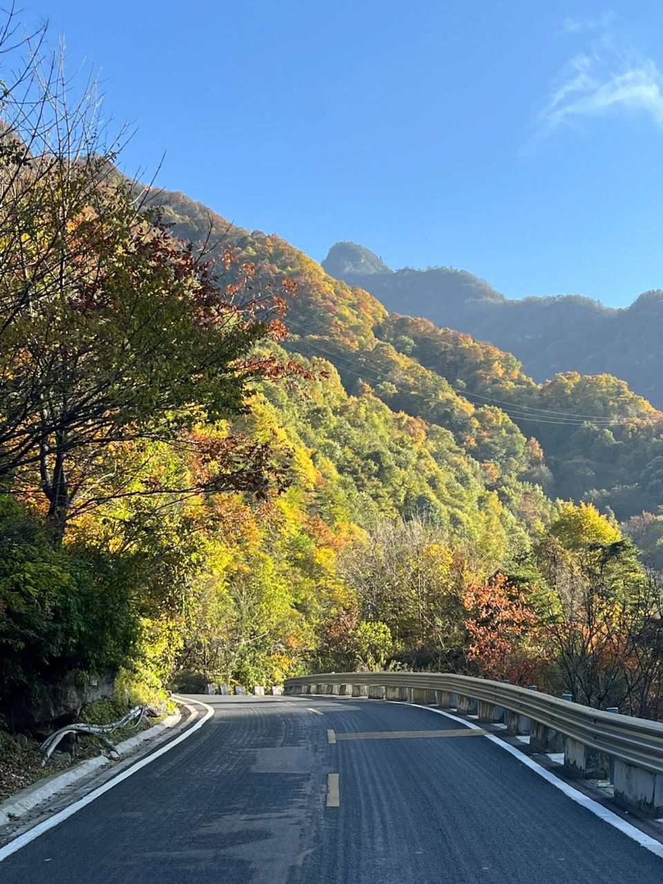 沣峪口只去看冷杉,会错过其他壁纸级的美景 一到秋天秦岭就像画了五颜