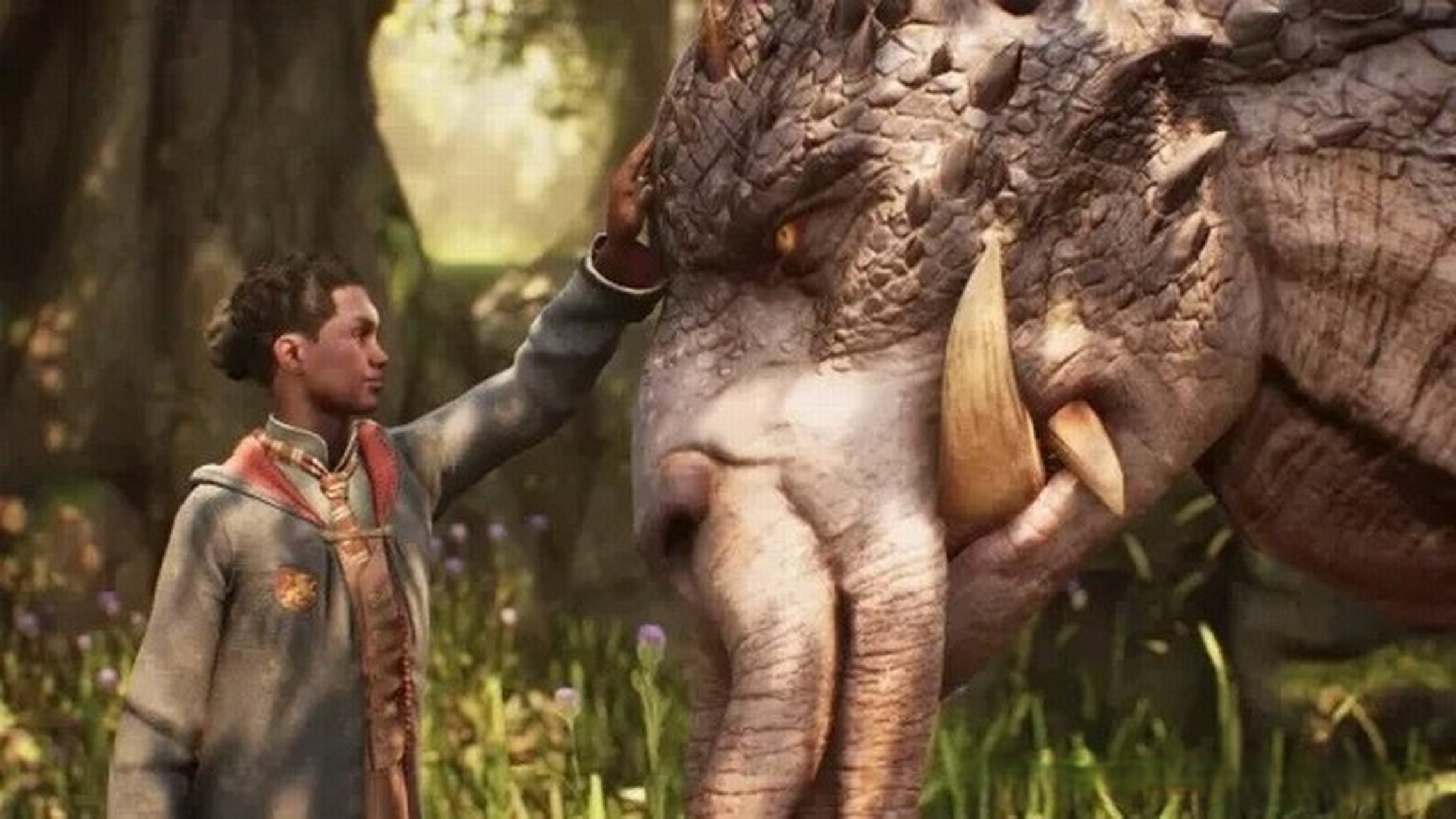 【动保组织peta呼吁《#霍格沃兹之遗#》玩家善待动物】近日动物保护